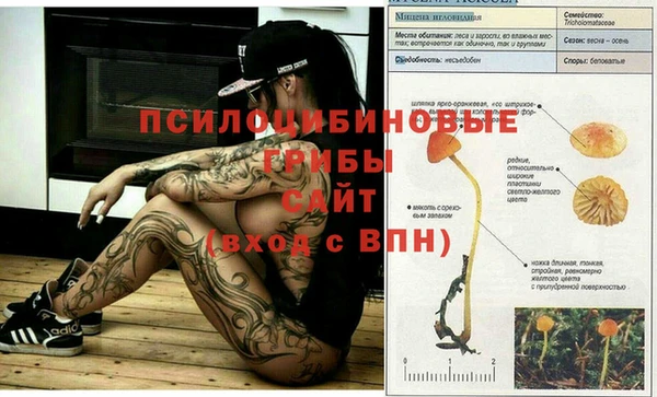 ALPHA PVP Струнино