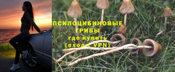 ALPHA PVP Струнино